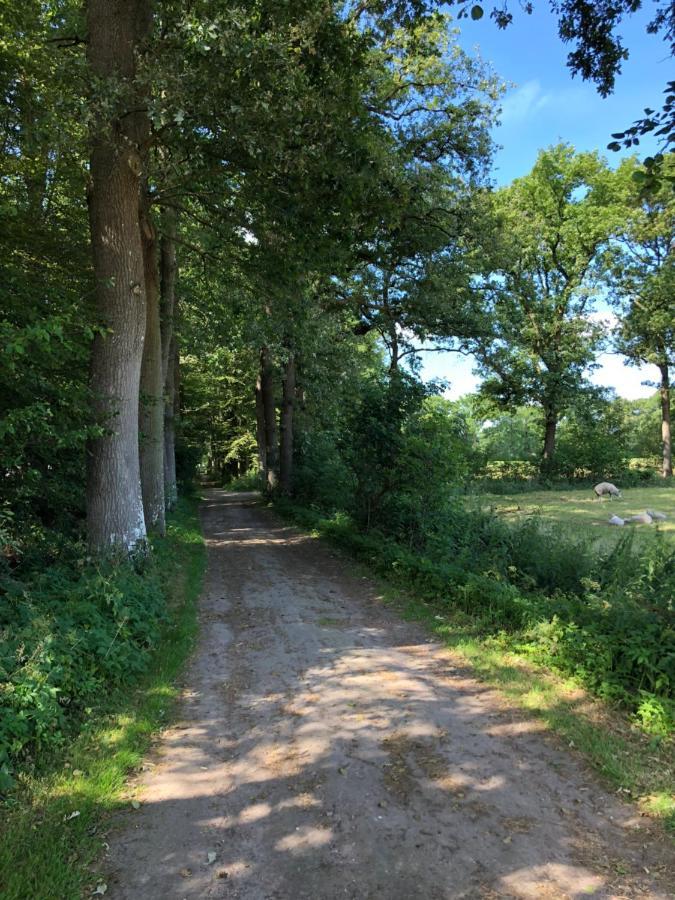 Klein Bosland By Logeren Bij Saar Villa Wijnjewoude Eksteriør billede