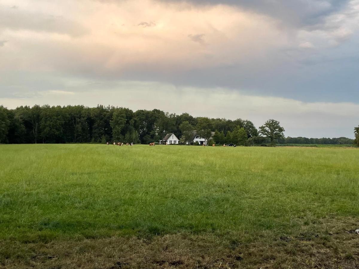 Klein Bosland By Logeren Bij Saar Villa Wijnjewoude Eksteriør billede