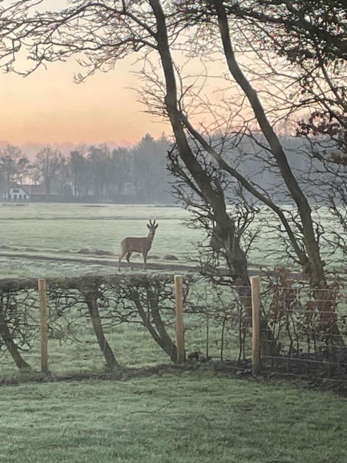 Klein Bosland By Logeren Bij Saar Villa Wijnjewoude Eksteriør billede