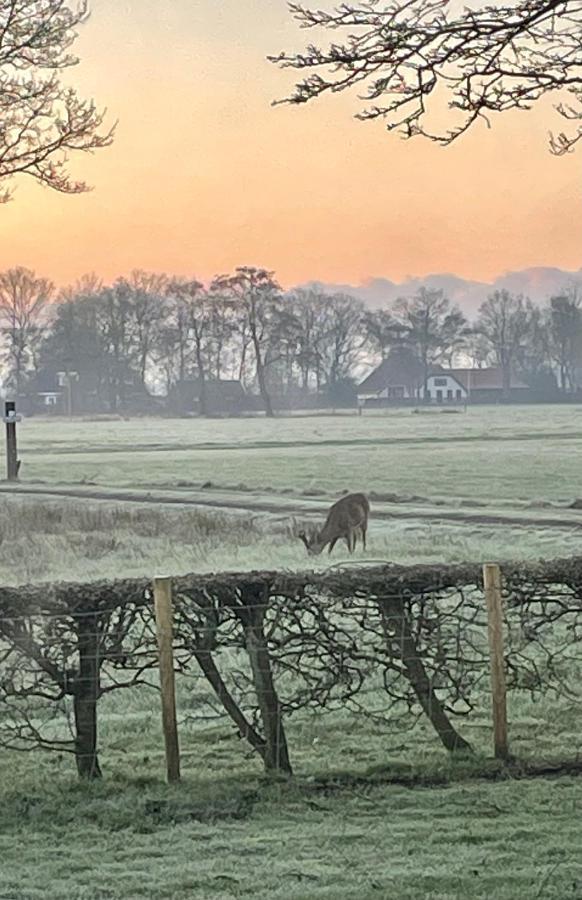 Klein Bosland By Logeren Bij Saar Villa Wijnjewoude Eksteriør billede