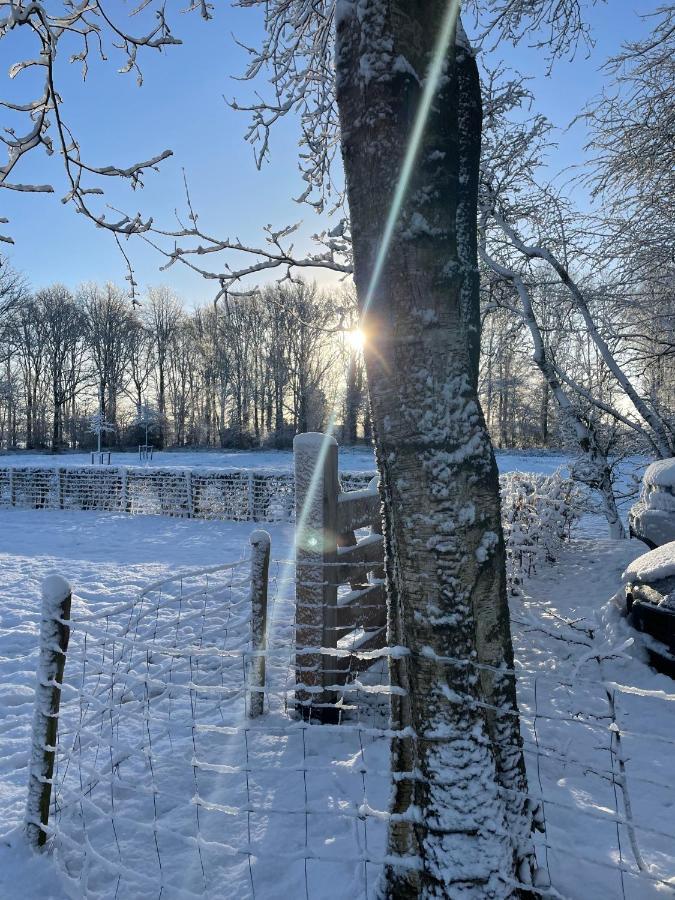 Klein Bosland By Logeren Bij Saar Villa Wijnjewoude Eksteriør billede